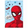 Mikroflanelová deka Spider-Man 100x150 cm
