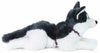 Plyšový husky 60 cm ležící (eco-friendly)