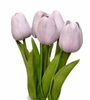 Tulipán pěnový (5 ks) - fialová OLD