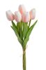 Tulipán pěnový (5 ks) - růžová/bílá