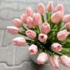 Tulipán pěnový (5 ks) - růžová/broskev