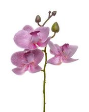 Umělá orchidej - fialovorůžová 20 cm