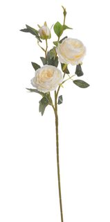 Plnokvětá růže 65 cm - krémová