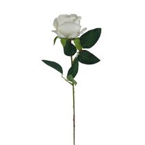 Růže bílá X5791-01 - dia 7 x 4,5 / 50 cm