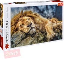 PUZZLE Foto Spící lev 1000 dílků 68x48cm skládačka 110447