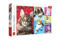Puzzle Šťastné kočky 1000 dílků 68,3x48cm v krabici