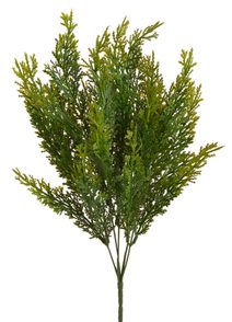 Túje 41 cm - zelená