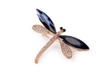 Brož s broušenými kamínky vážka