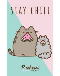 Dětský ručník Kočička Pusheen Stay Chill 30x50 cm