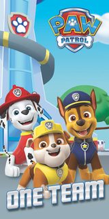 Osuška Paw Patrol 201 70x140 cm