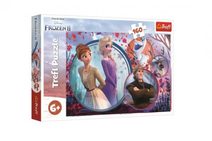 Puzzle Ledové království II/Frozen II 160 dílků 41x27,5cm v krabici