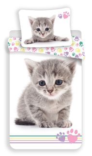 Povlečení fototisk Kitten colour 140x200, 70x90 cm