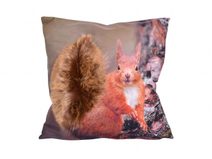 Povlak Veverka 3D 40x40 cm