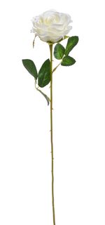 Růžička 52 cm - bílá