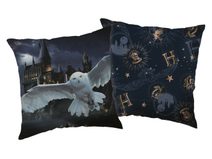 Polštářek Harry Potter Hogwarts 01 40x40 cm