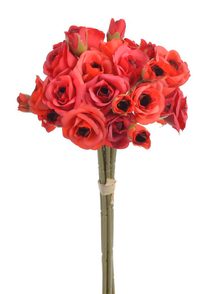 Svazek mini růžiček 9 ks - červená