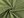 Minky hladké / jemný plyš SAN METRÁŽ (18 (112) olivová zeleň světlá)