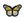 Nažehlovačka motýl (1 žlutá světlá)