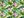 Bavlněná látka květy, plameňák (2 (156) zelená trávová)
