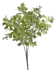 Dlouhý trs s listy 55 cm - zelená
