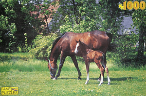 Puzzle 1000 d. Klisna a hříbě 1000 dílků