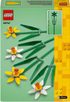 LEGO ICONS Narcisy 40747