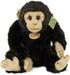 PLYŠ Šimpanz 27cm opice Eco-Friendly *PLYŠOVÉ HRAČKY*