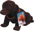 Pes s kývací hlavou Jezevčík 24cm dekorace plast 2 barvy