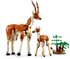 LEGO CREATOR Divoká zvířata ze safari 3v1 31150