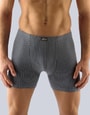 Pánské boxerky s delší nohavičkou, delší nohavička,74092P