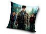 Povlak na polštářek Harry Potter a Čarodějové 40x40 cm