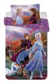 Disney povlečení do postýlky Frozen 2 Wind baby 100x135, 40x60 cm
