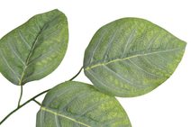 Umělá rostlina s pupeny - zelená/bílá