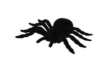 Zvířátko pavouk černý 7cm s barevnými třpytkami set 6ks Halloween