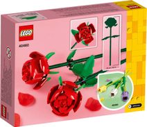 Miniaturní rostliny 10329 stavebnice LEGO ICONS