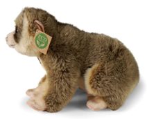 Koala plyšová sedící 15 cm