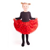 Dětský kostým tutu sukně s křídly