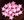 Korálek hvězda 14mm 25ks (sv. růžová)