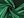 Jednobarevný Satén jemně tuhý METRÁŽ (15 (96) zelená střední)