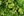 Umělá Girlanda jehličí 275 cm - zelenošedá