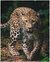 Mikroflanelová dětská deka Leopard green 120x150 cm