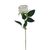 Růže bílá X5791-01 - dia 7 x 4,5 / 50 cm