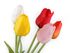 Umělý tulipán 46 cm