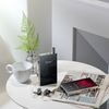 Astell&Kern A&futura SE300 - stříbrná (PŮJČOVNA)