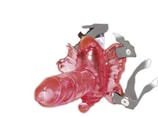 Strap - On Venus Penis pink