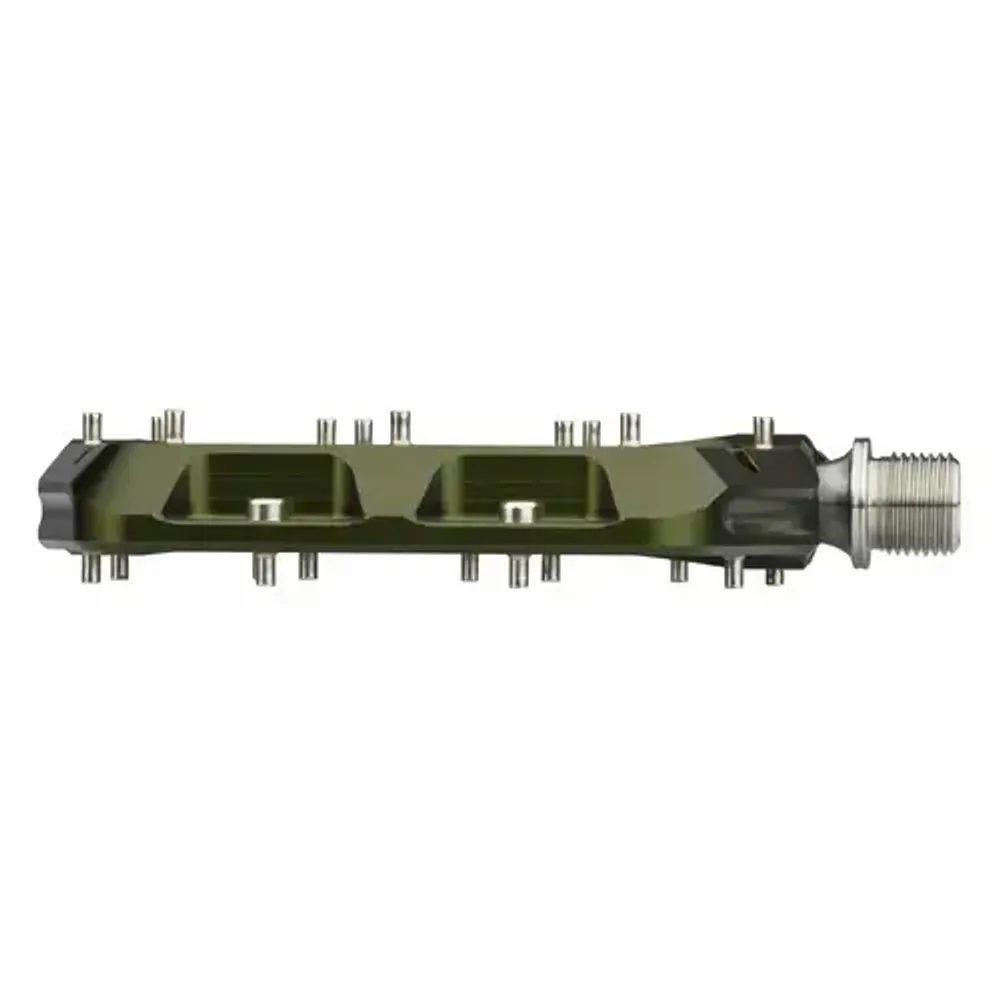 WAVEFORM olive L