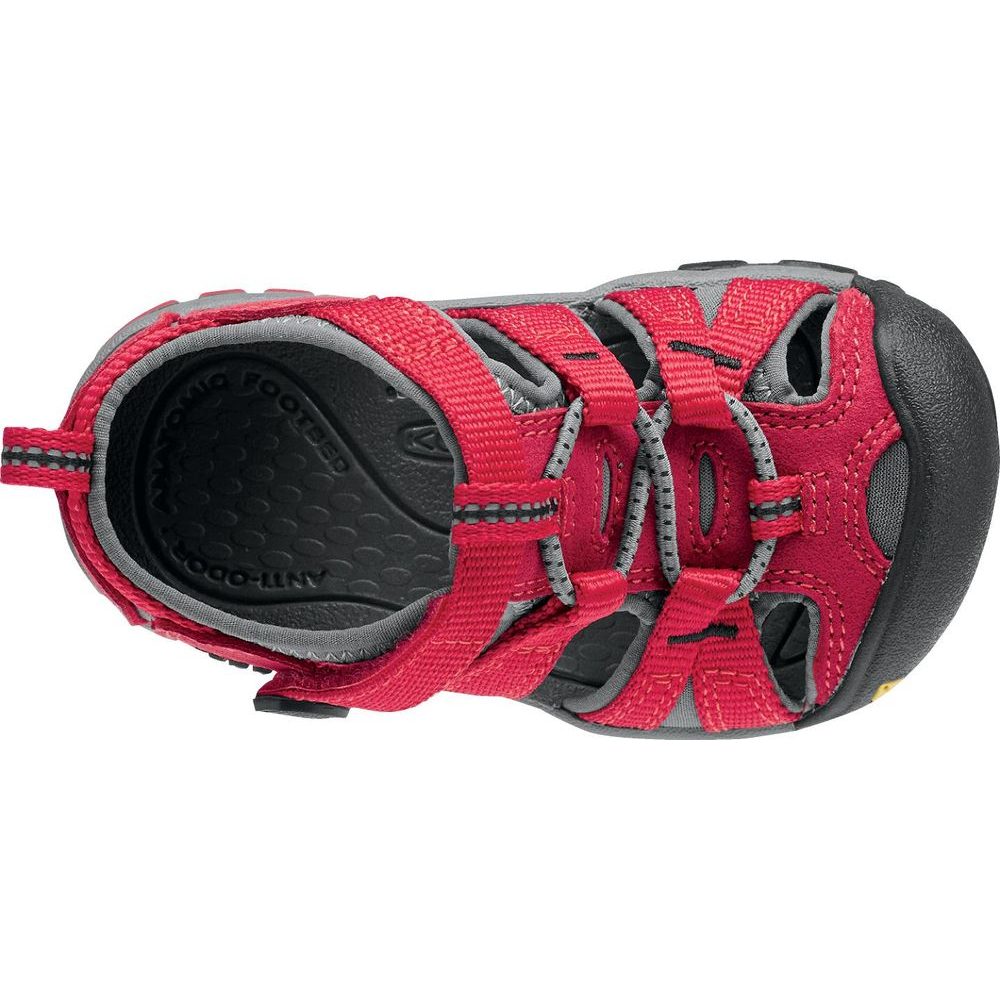 Seacamp II CNX INF racing red/gargoyle