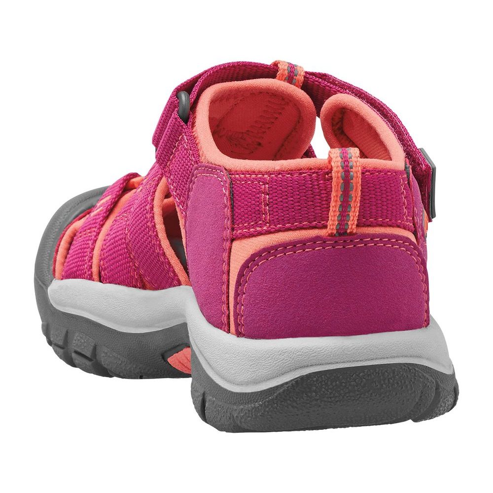 NEWPORT H2 K, very berry/fusion coral