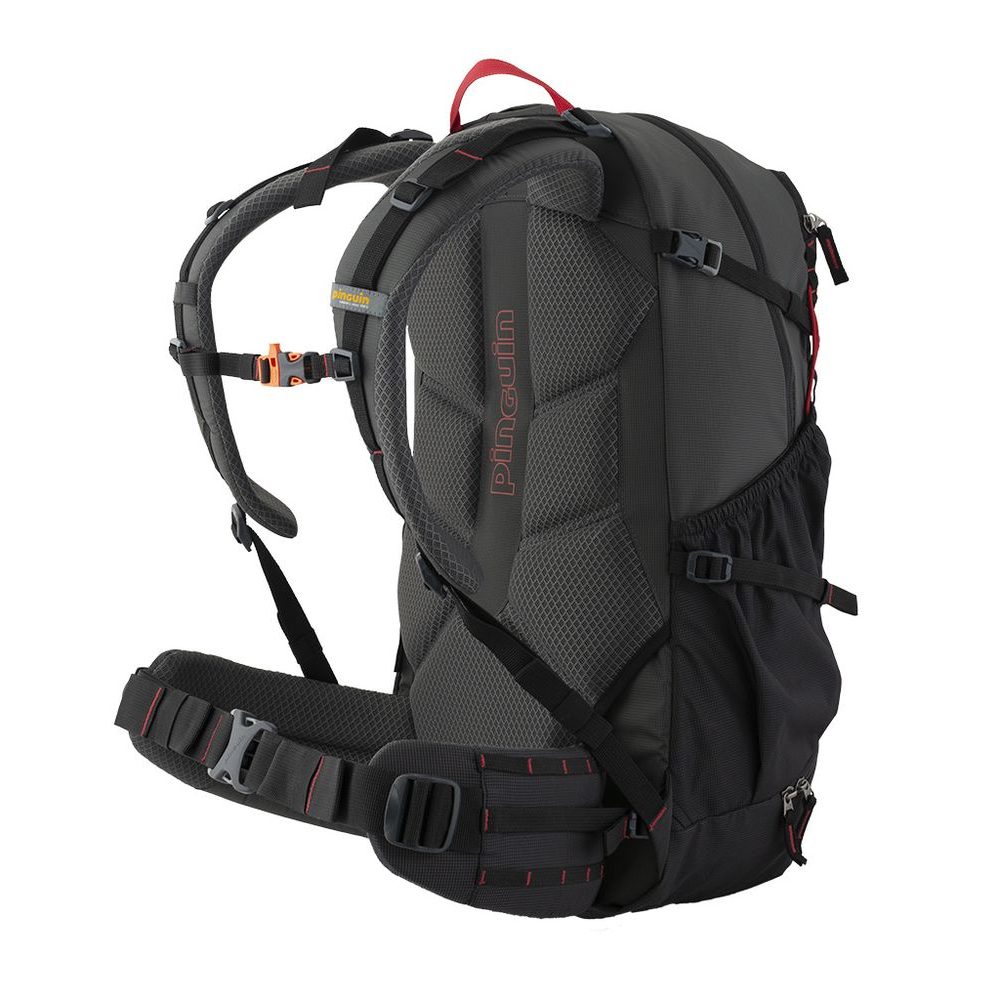 Vector 35 Black