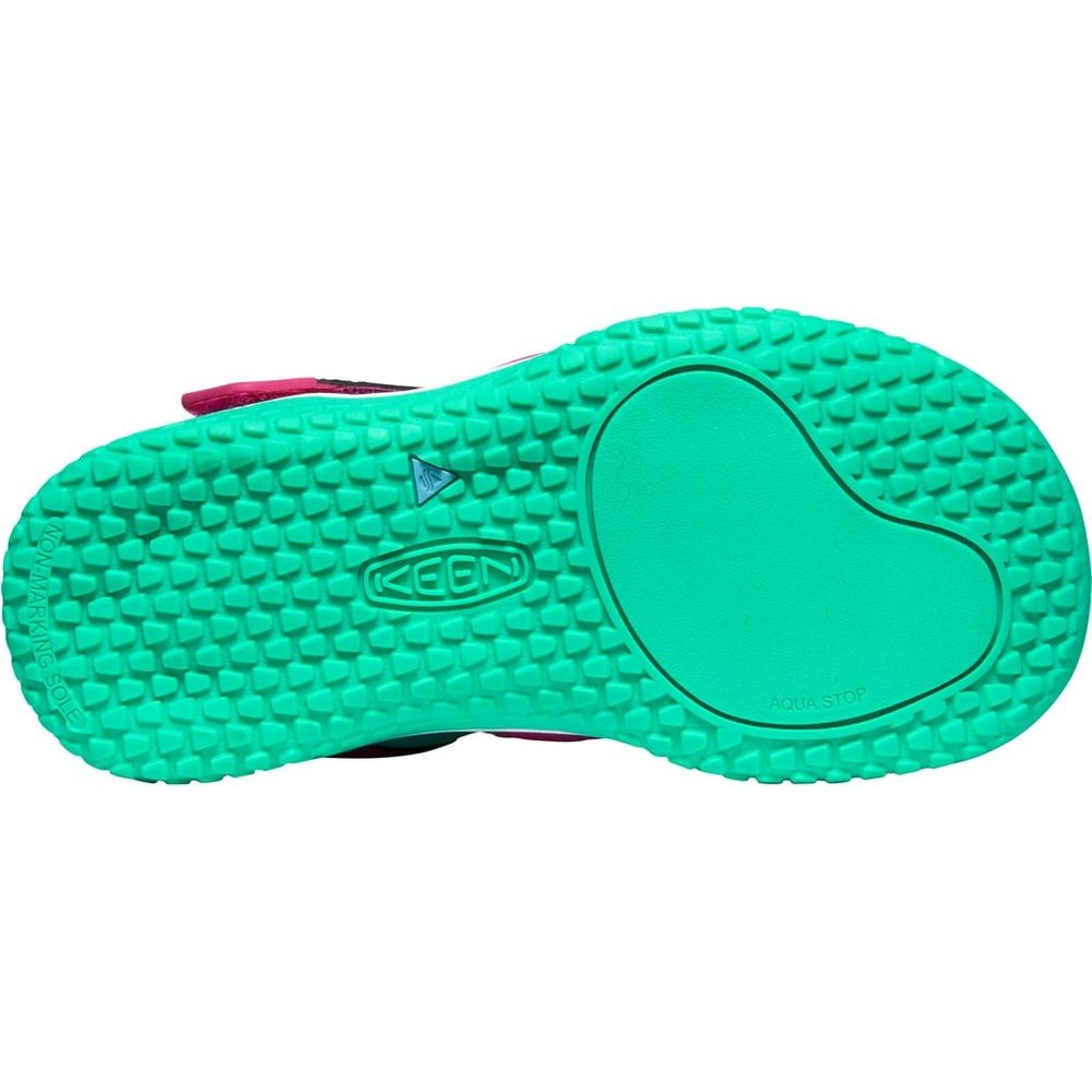 STINGRAY C very berry/peacock green